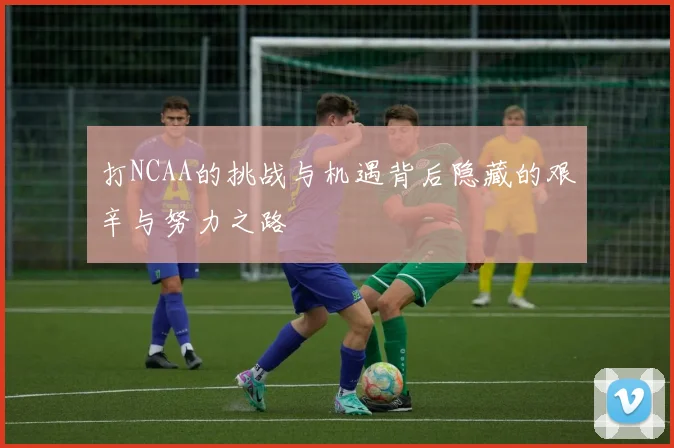 打NCAA的挑战与机遇背后隐藏的艰辛与努力之路