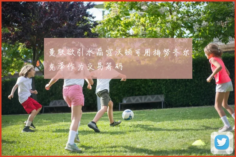 曼联欲引水晶宫沃顿可用梅努齐尔克泽作为交易筹码