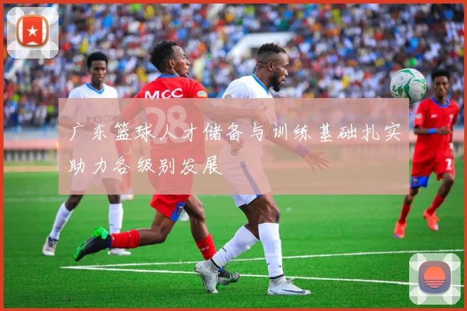 广东篮球人才储备与训练基础扎实助力各级别发展