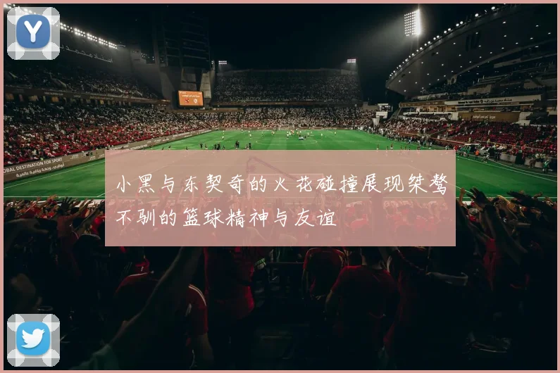 小黑与东契奇的火花碰撞展现桀骜不驯的篮球精神与友谊