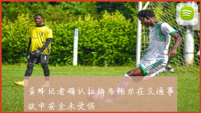 黄蜂记者确认拉梅洛鲍尔在交通事故中安全未受伤